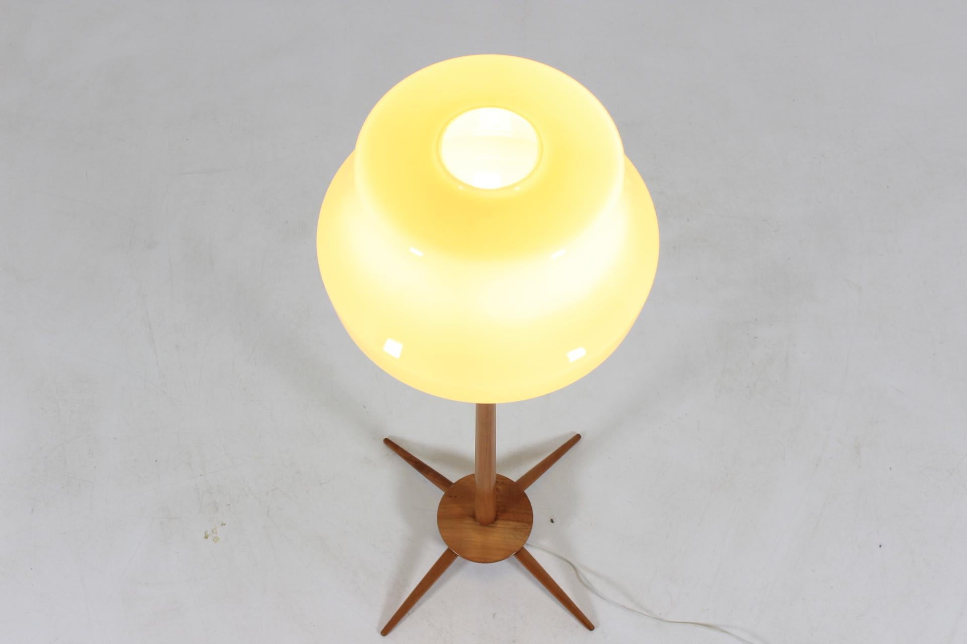 Midcentury Floor Lamp, 1960s 3