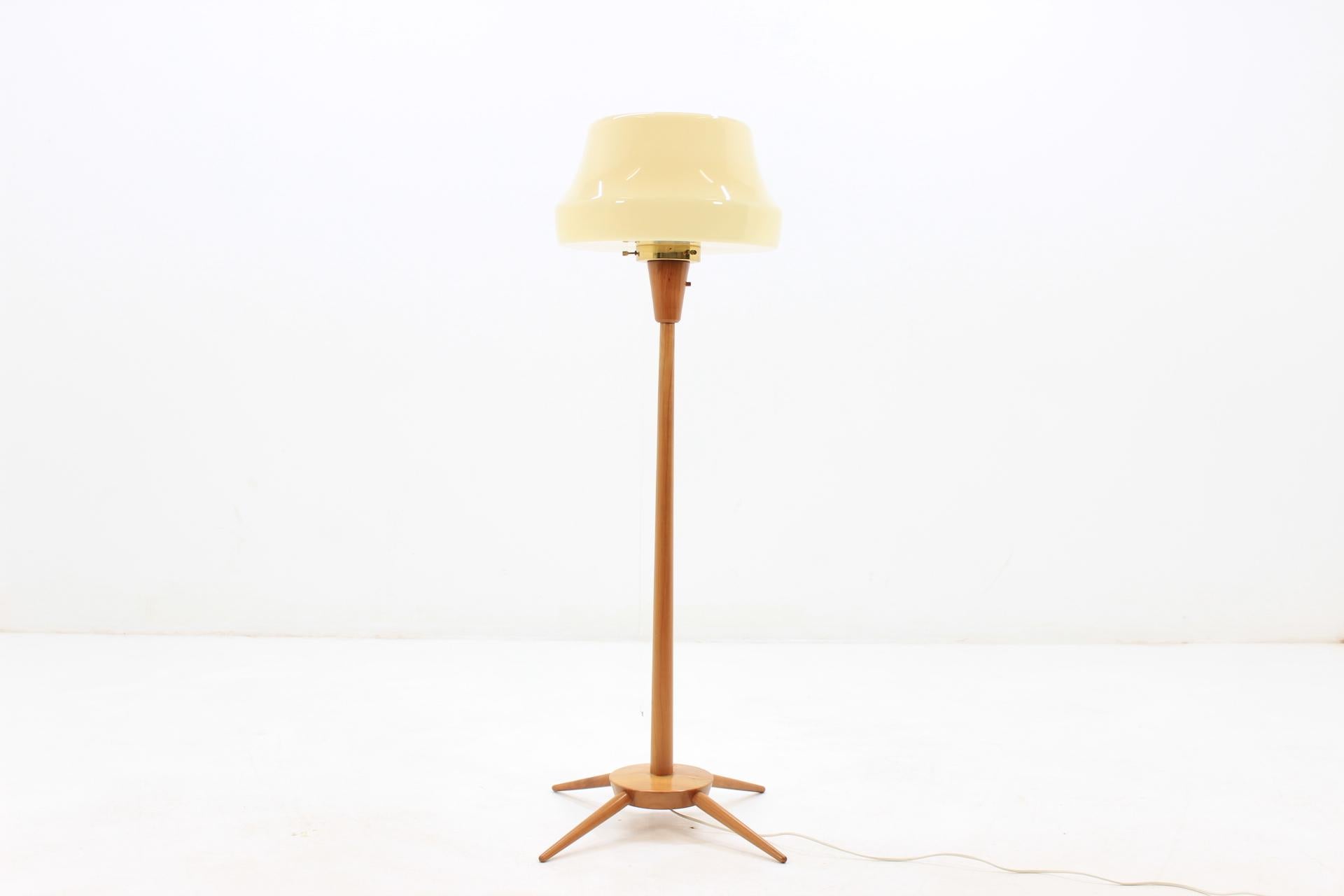 Mid-Century Modern Midcentury Floor Lamp, 1960s