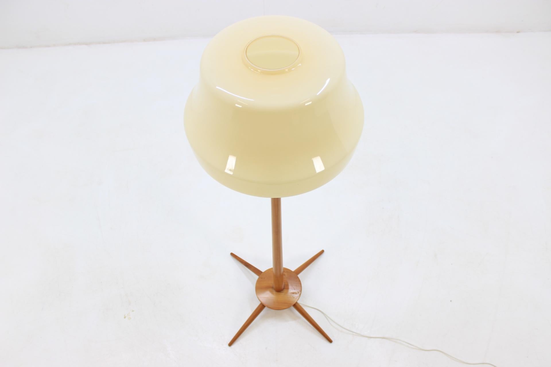 Czech Midcentury Floor Lamp, 1960s