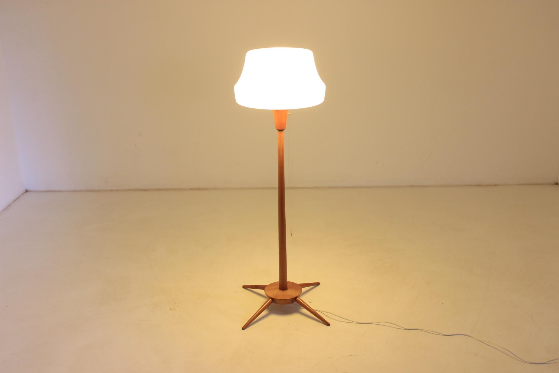 Midcentury Floor Lamp, 1960s 1