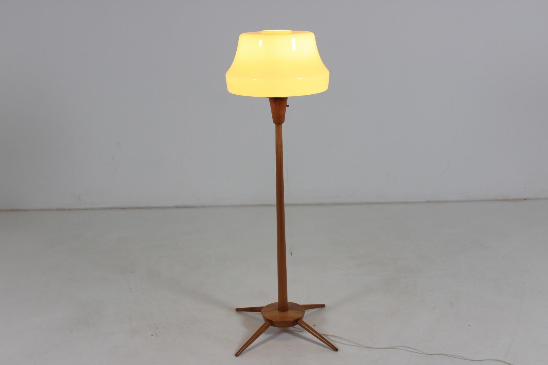 Midcentury Floor Lamp, 1960s 2