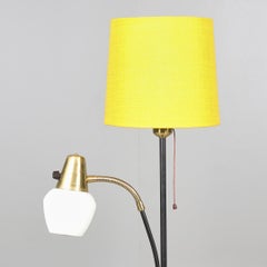 Midcentury Floor Lamp By Eskilstuna Elektro Fabriks AB
