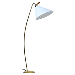 Midcentury Floor Lamp by Rupert Nikoll
