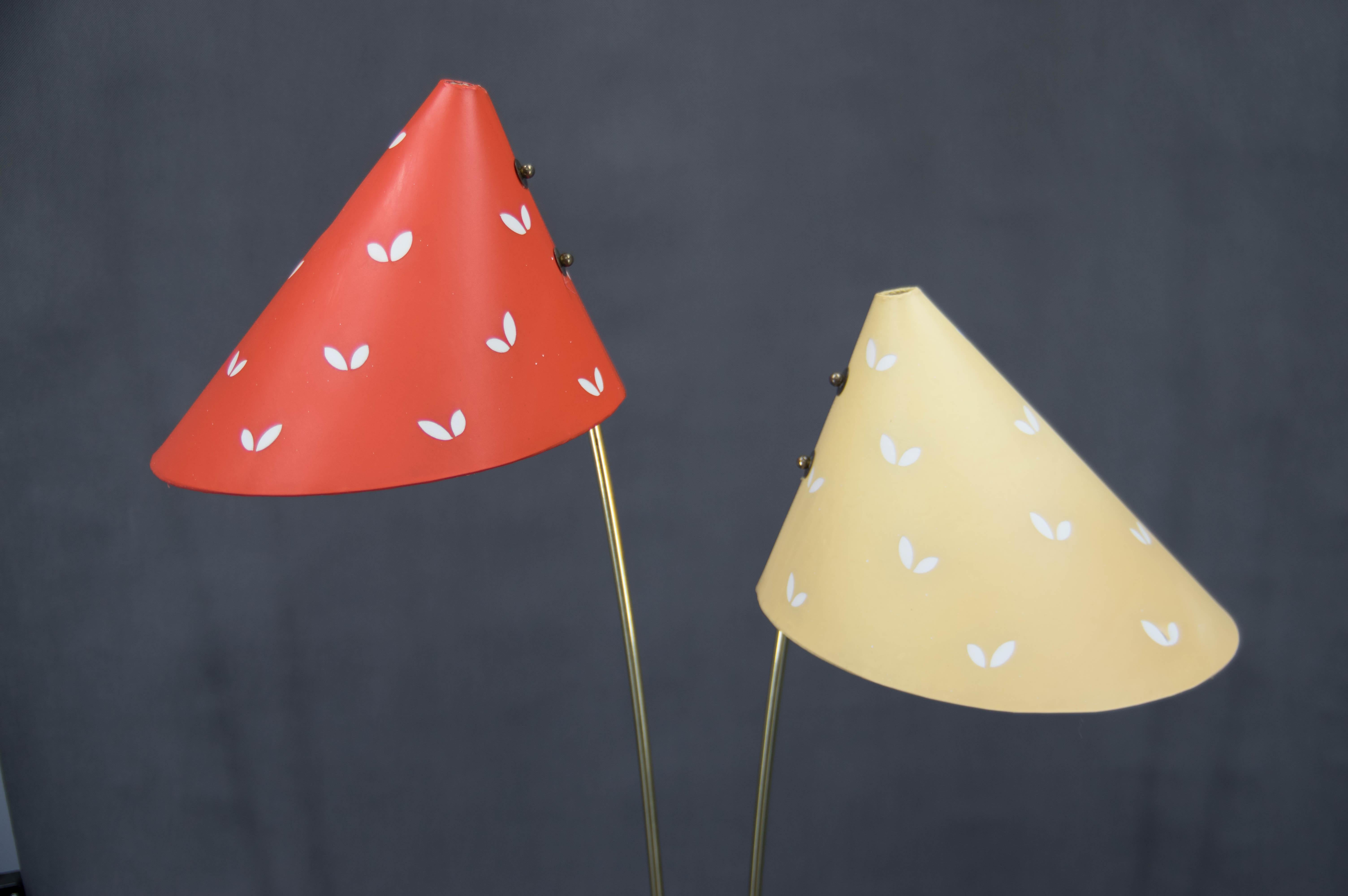 Mid-Century Modern Midcentury Floor Lamp Japonka, Czechoslovakia, 1960s For Sale