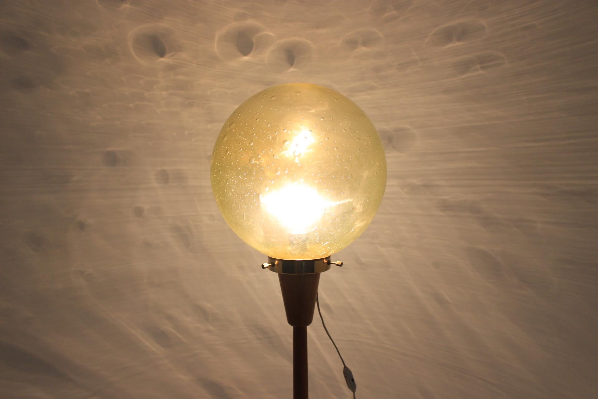 Midcentury Floor Lamp, Kamenicky Senov, 1970s 2