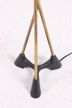 Midcentury Floor Lamp, Made in Denmark, 1950s