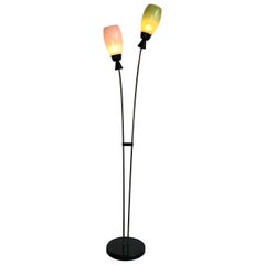 Midcentury Floor Lamp with Two Colored Glass Shades, Italy, 1950s