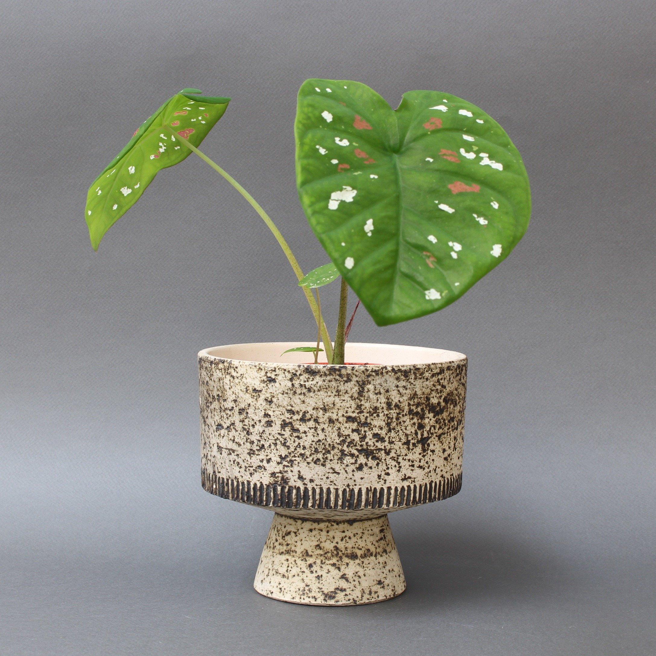 Midcentury French ceramic mushroom-shaped plant pot(s), circa 1960s by unknown ceramicist. A subtle brown textured finish is superimposed on a light-coloured stone layer with a ribbon pattern at the base. The inner surface is unglazed with the raw