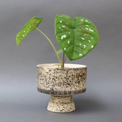 Midcentury French ceramic Plant Pot, circa 1960s