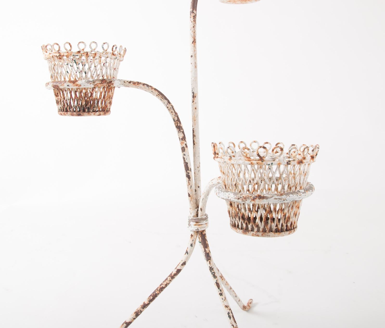 Wrought iron plant stand with 3 removable “cache pots” attributed to Mathieu Matégot, France, circa 1950.
 