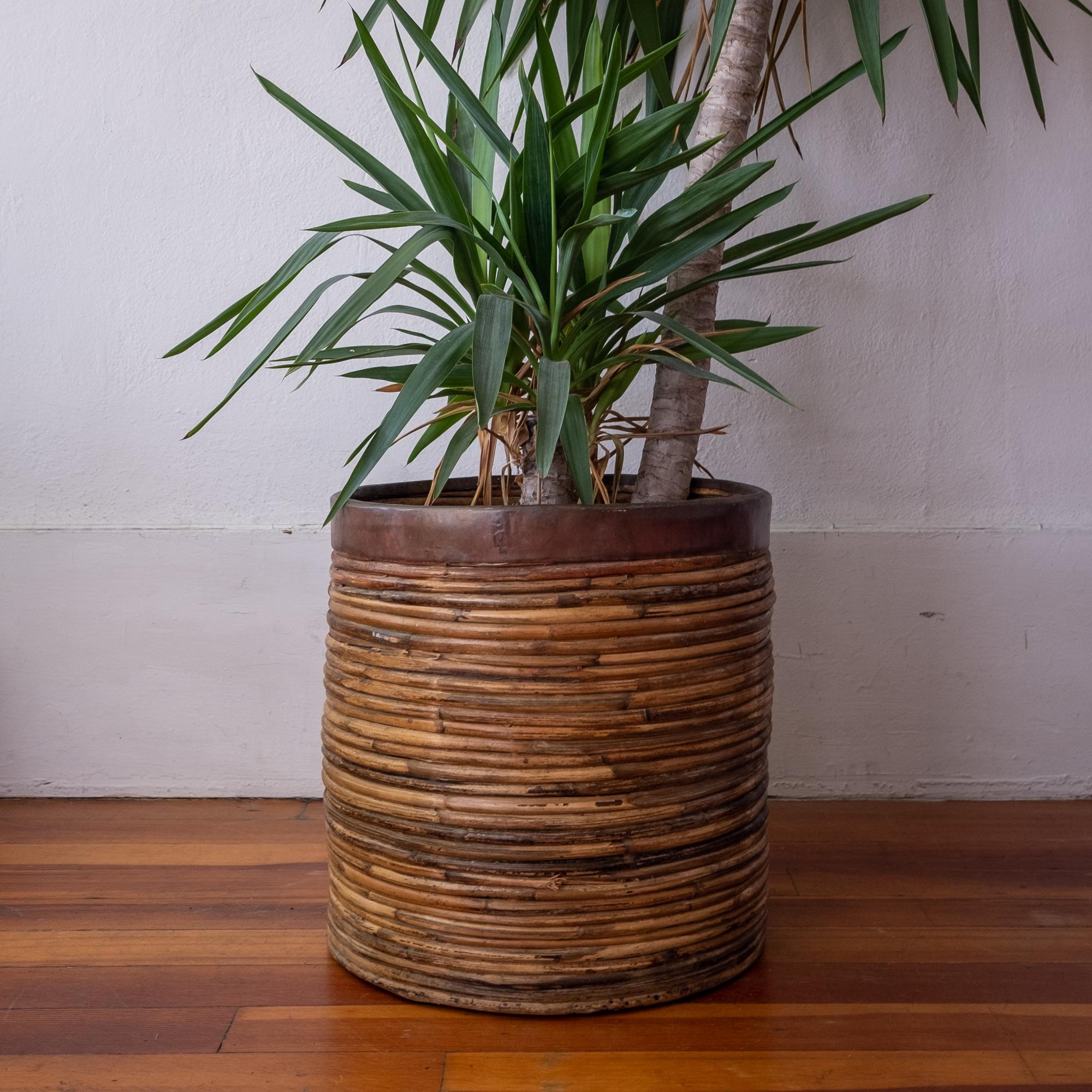 Midcentury brass and rattan planter or waste basket. Handcrafted reed with brass rim. Great patina. 1970s.