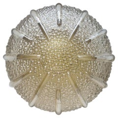Wall Lights and Sconces