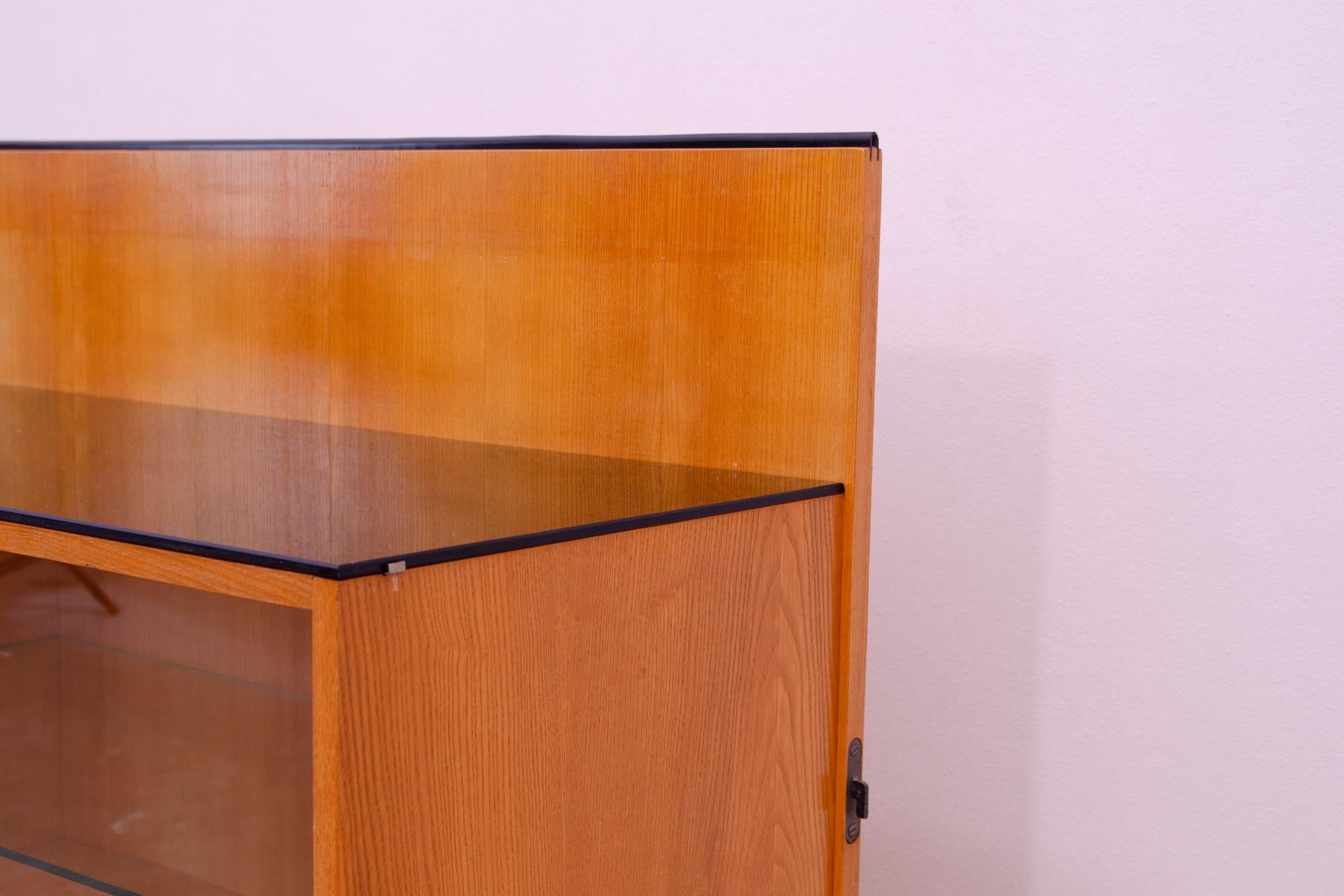 Midcentury glazed cabinet-bookcase by Mojmír Požár, Czechoslovakia, 1960s For Sale 2