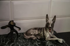Midcentury Gray Shepherd Ceramic Dog Sculpture, Europe, 1960s