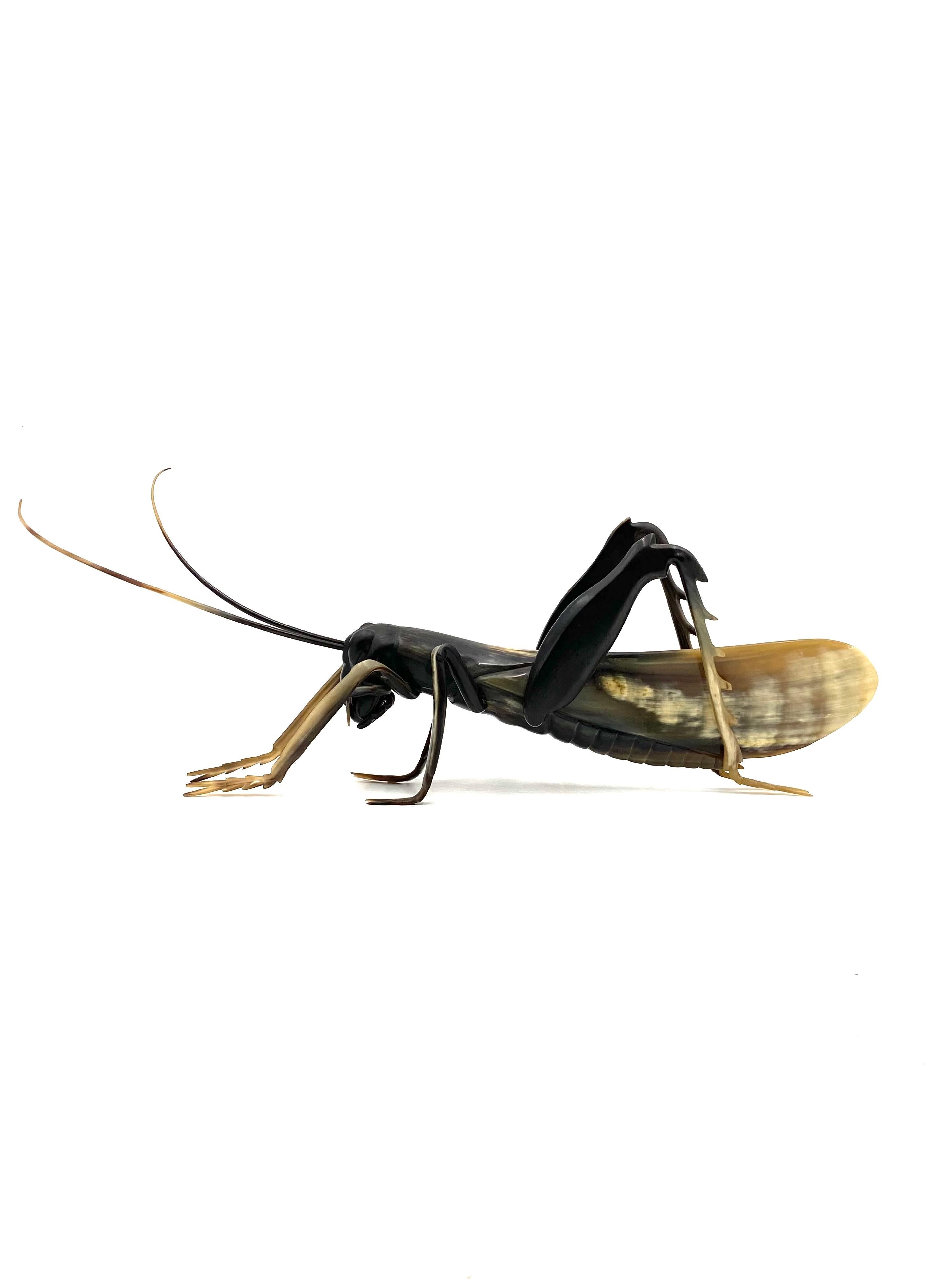 Saltamontes de cuerno artesanal de mediados de siglo, Francia, años 60 en Excelente estado para la venta en Firenze, IT