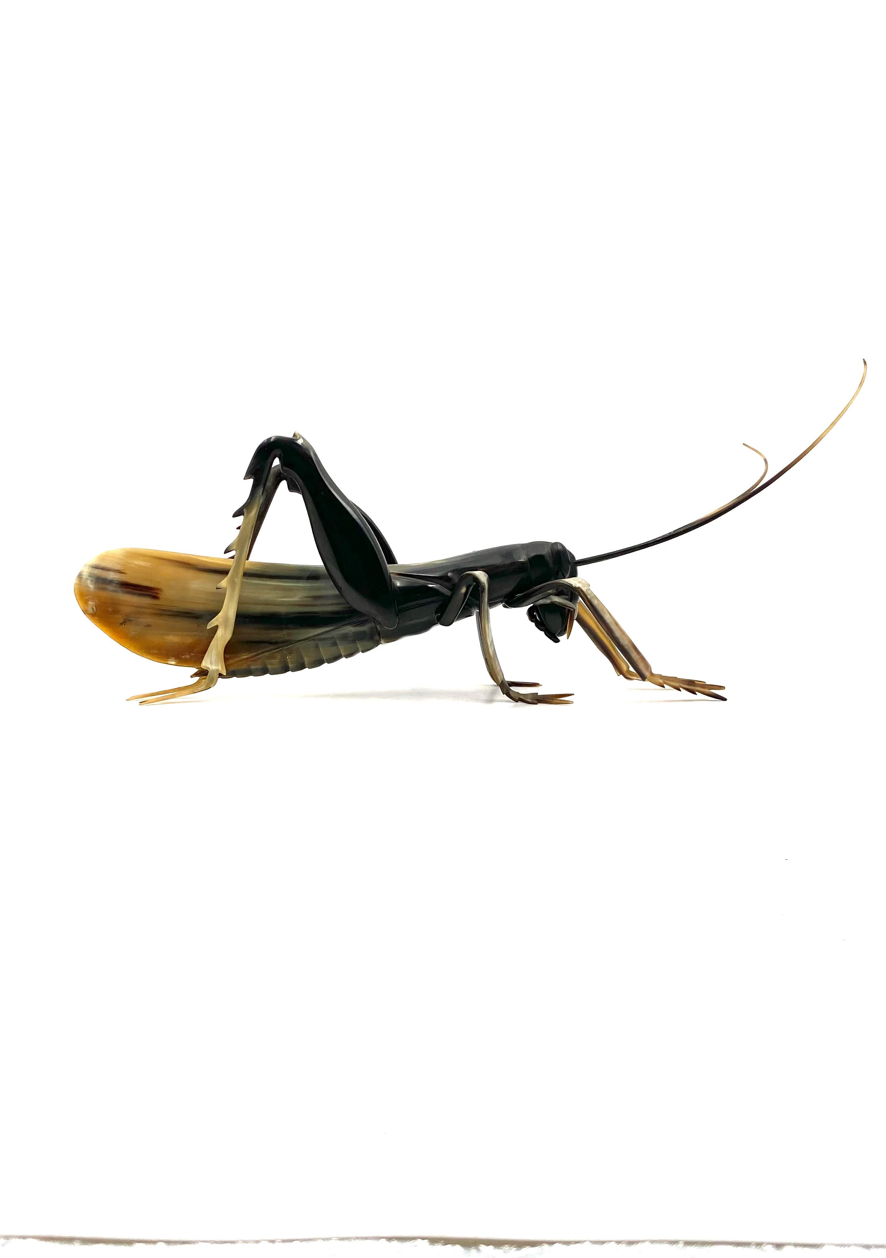 Saltamontes de cuerno artesanal de mediados de siglo, Francia, años 60 en venta 1