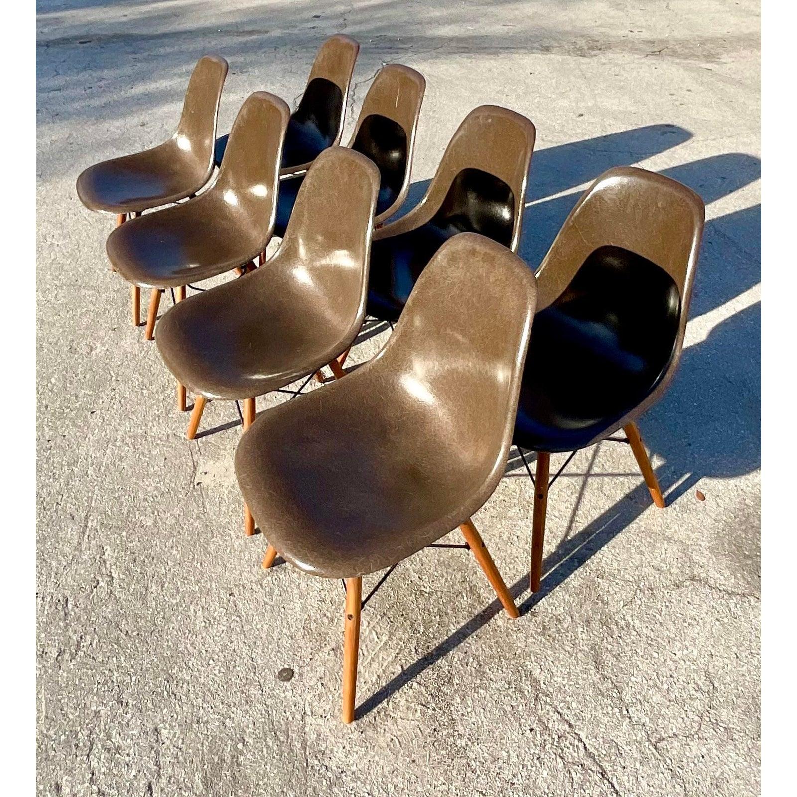 Midcentury Herman Miller DFSW Shell Dining Chairs, Set of 8 4