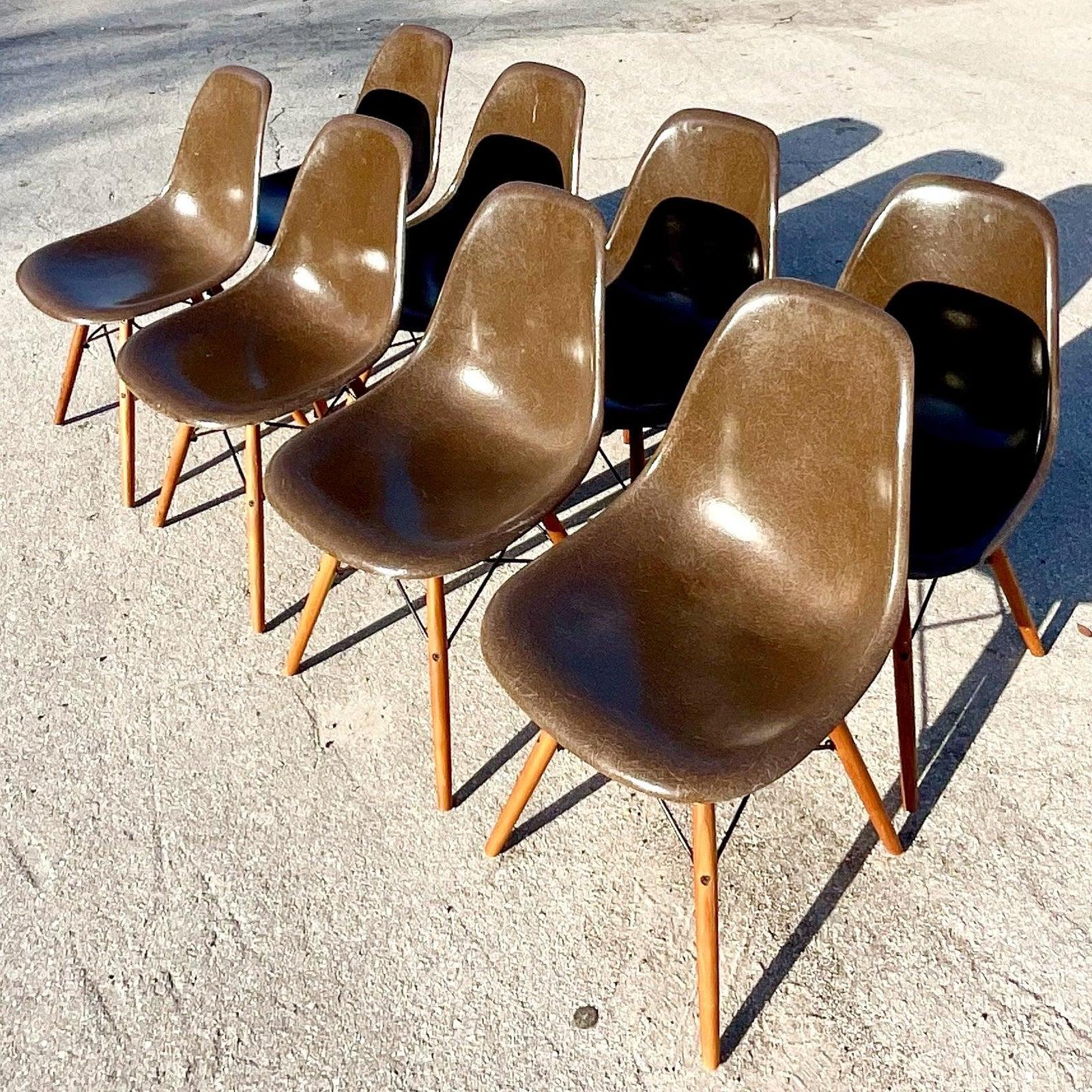 Midcentury Herman Miller DFSW Shell Dining Chairs, Set of 8 5