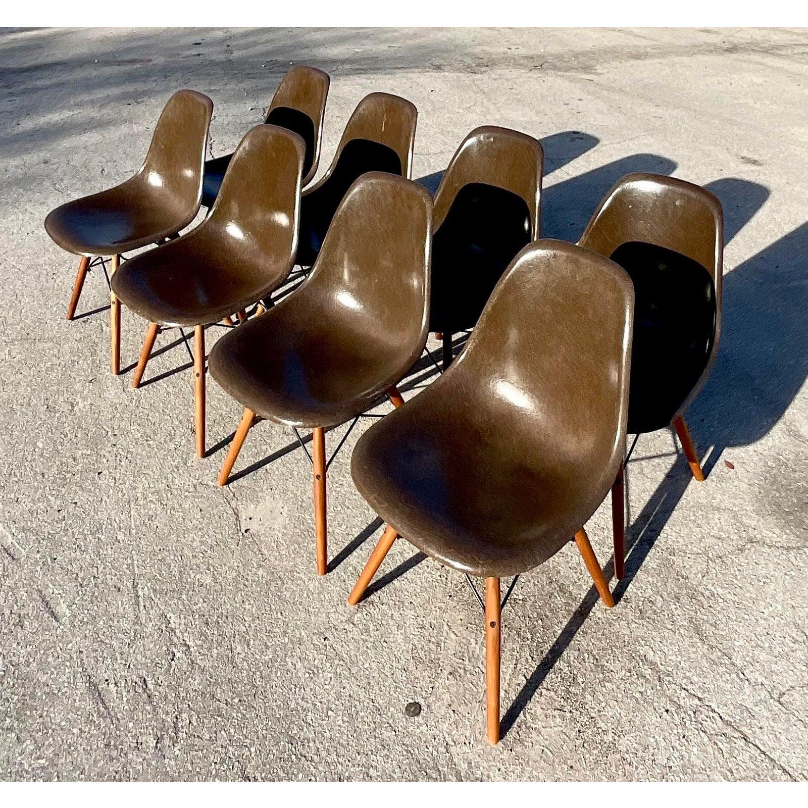 Mid-Century Modern Midcentury Herman Miller DFSW Shell Dining Chairs, Set of 8