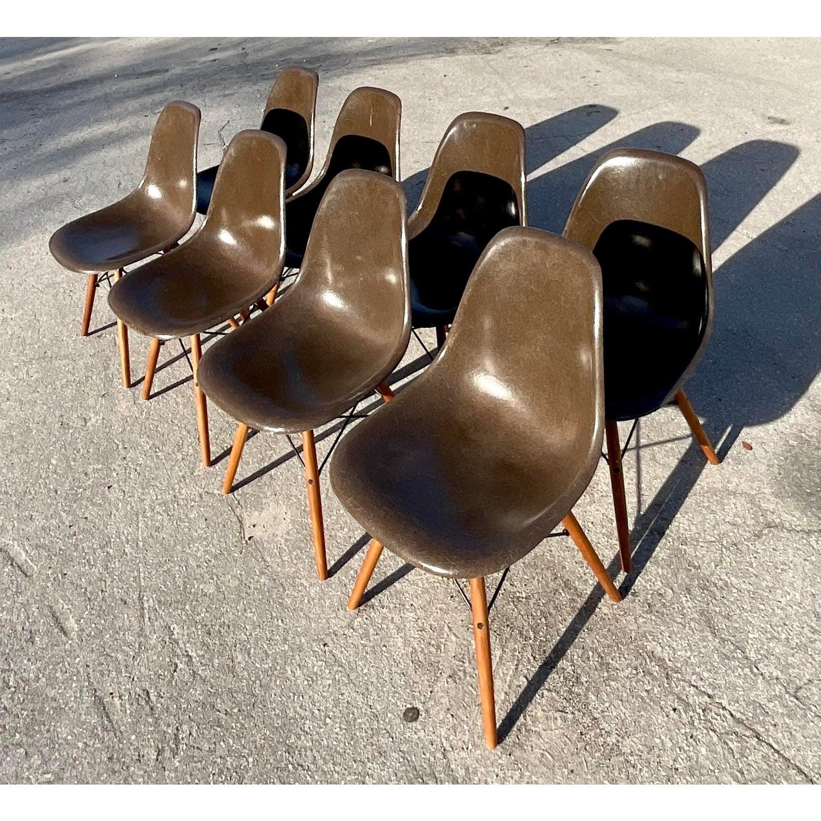 Midcentury Herman Miller DFSW Shell Dining Chairs, Set of 8 In Good Condition In west palm beach, FL