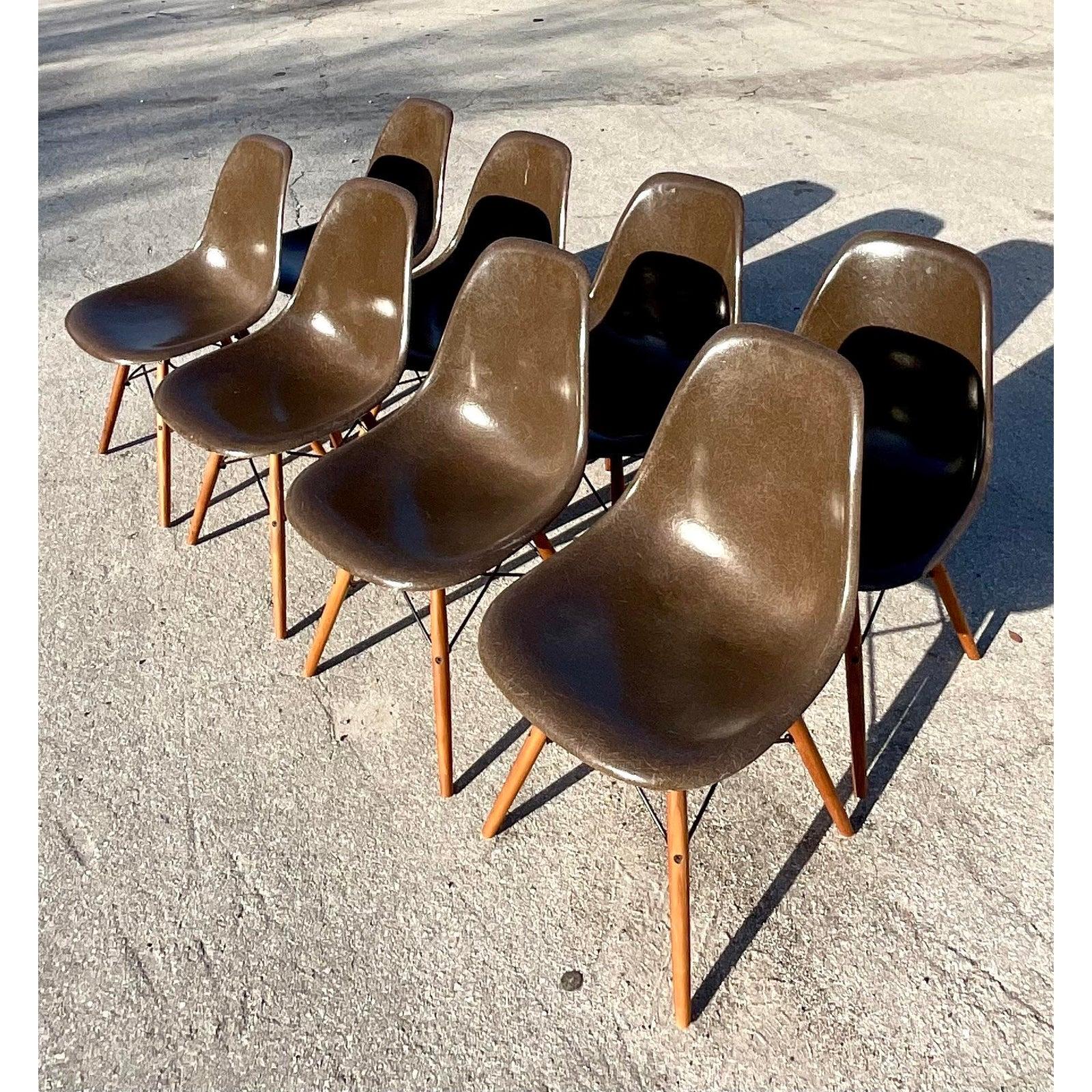 20th Century Midcentury Herman Miller DFSW Shell Dining Chairs, Set of 8