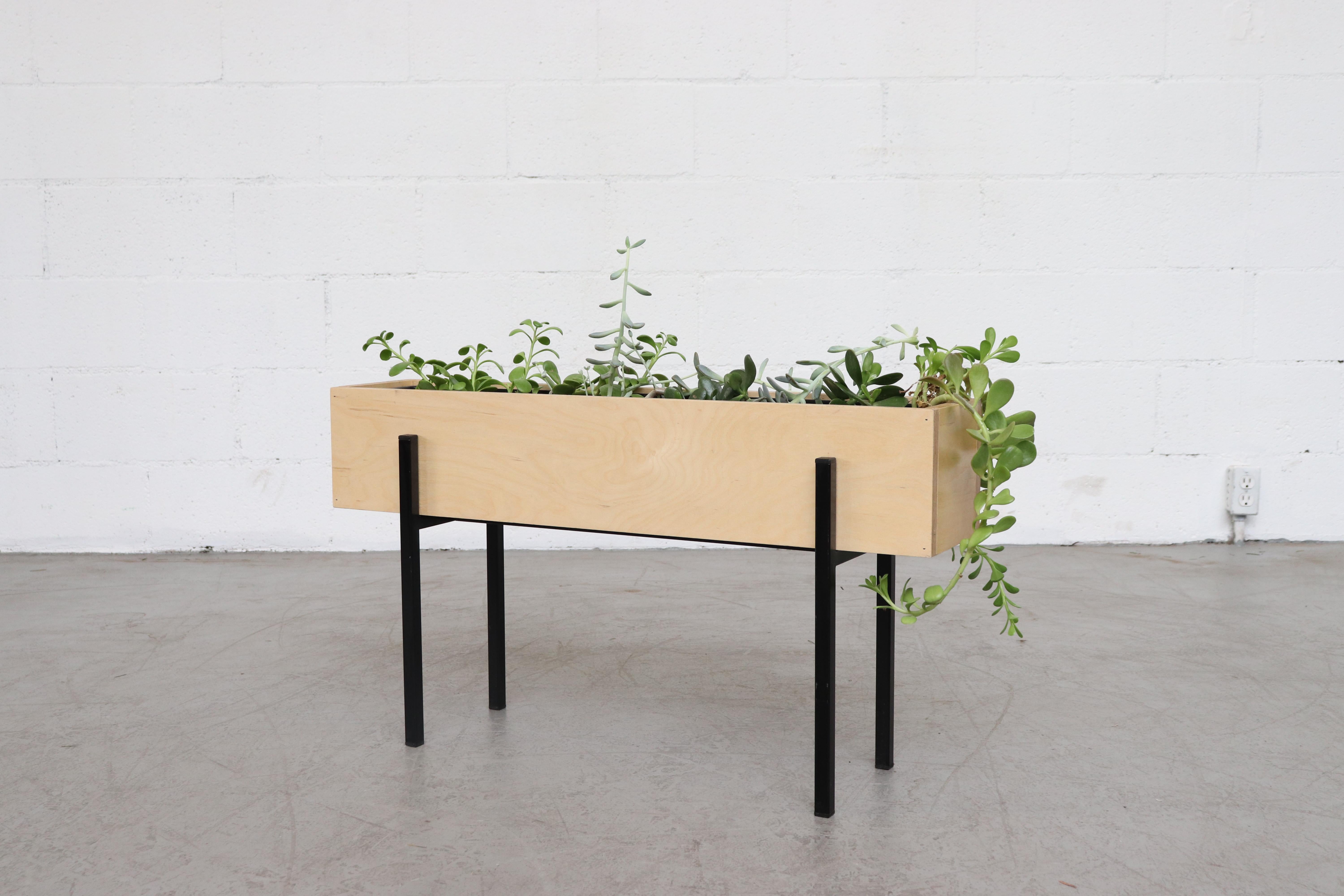 Birch wood box planter
Designed to hold 32