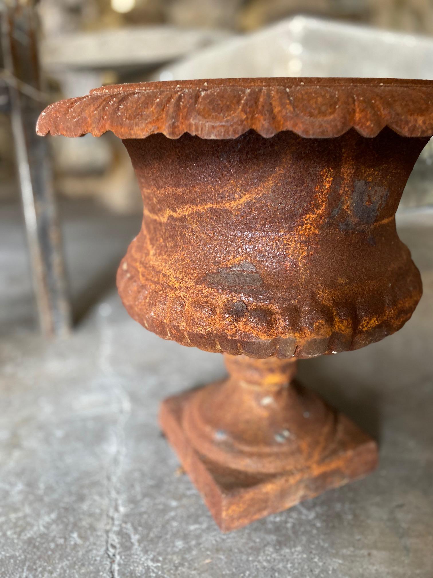 This contemporary urn features an iron / rust exterior to add charm to a garden or landscape.

Measurements: 15