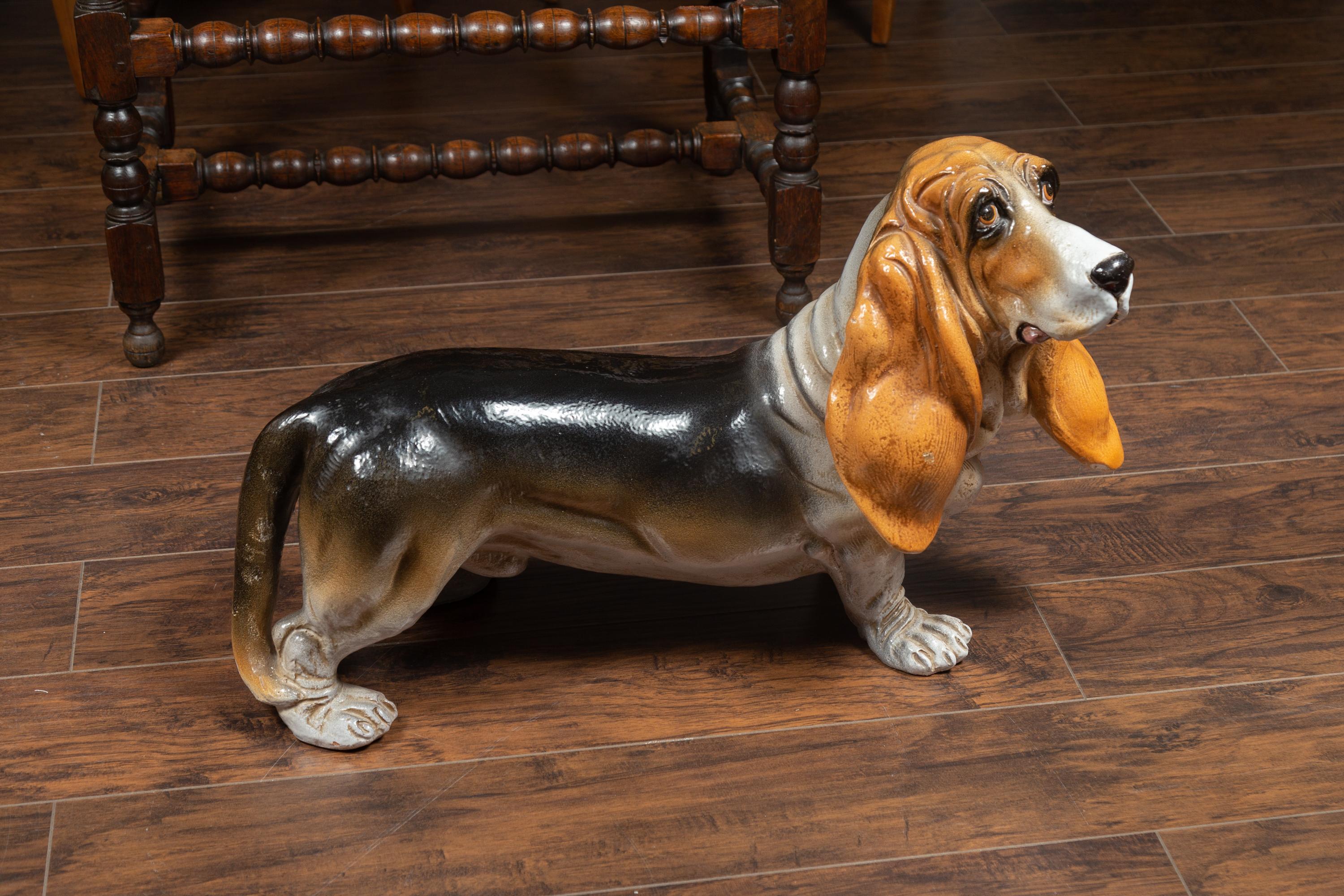 russet hound