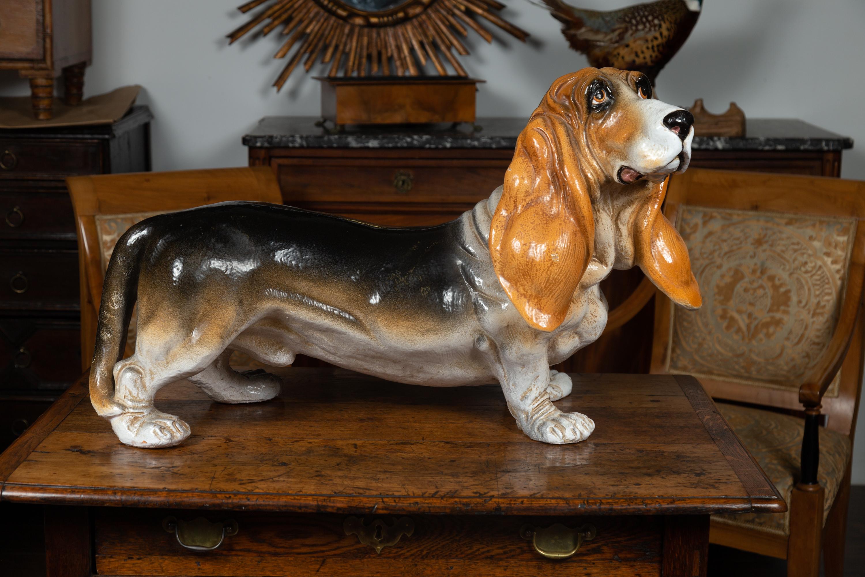 italian basset hound