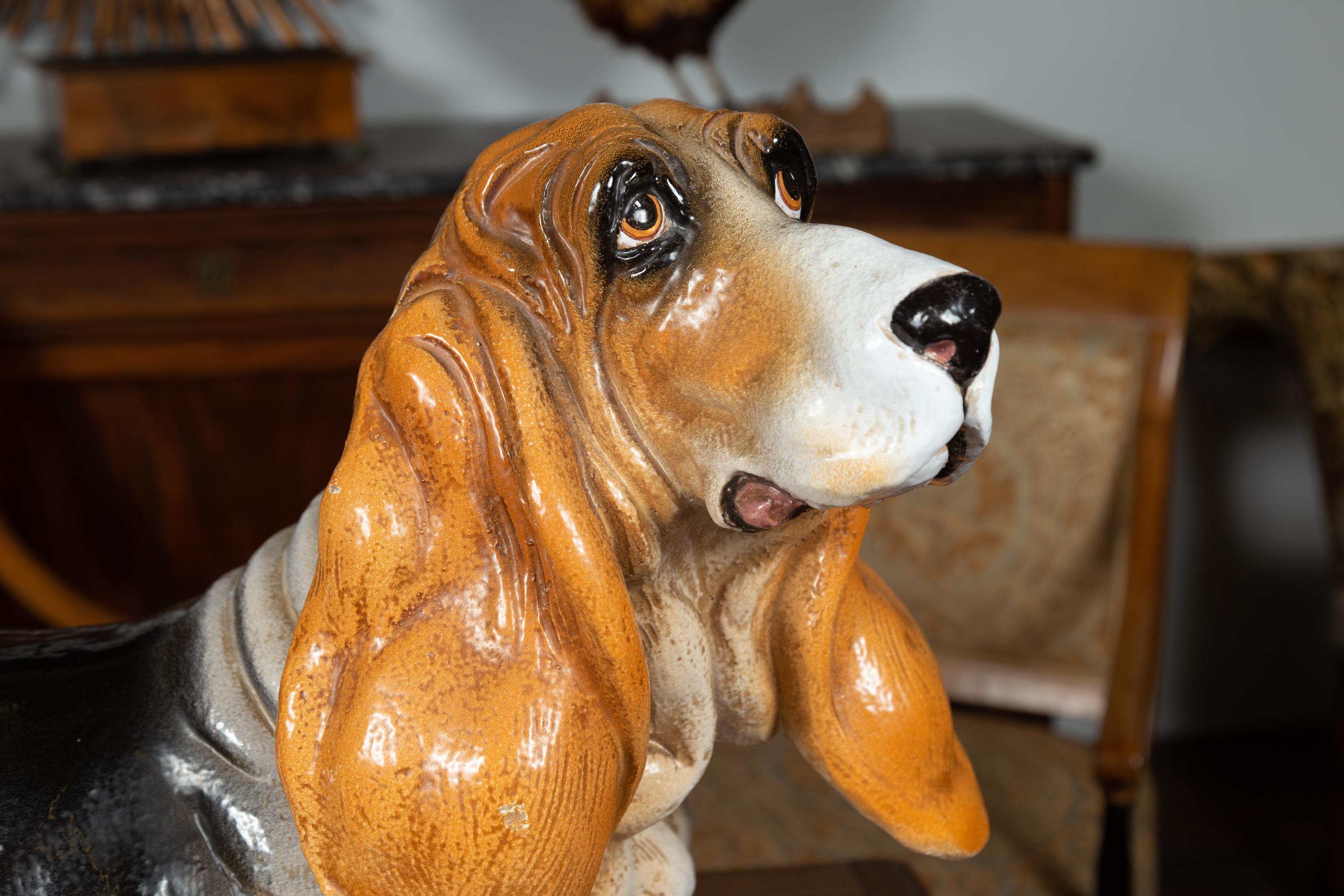 black basset hound