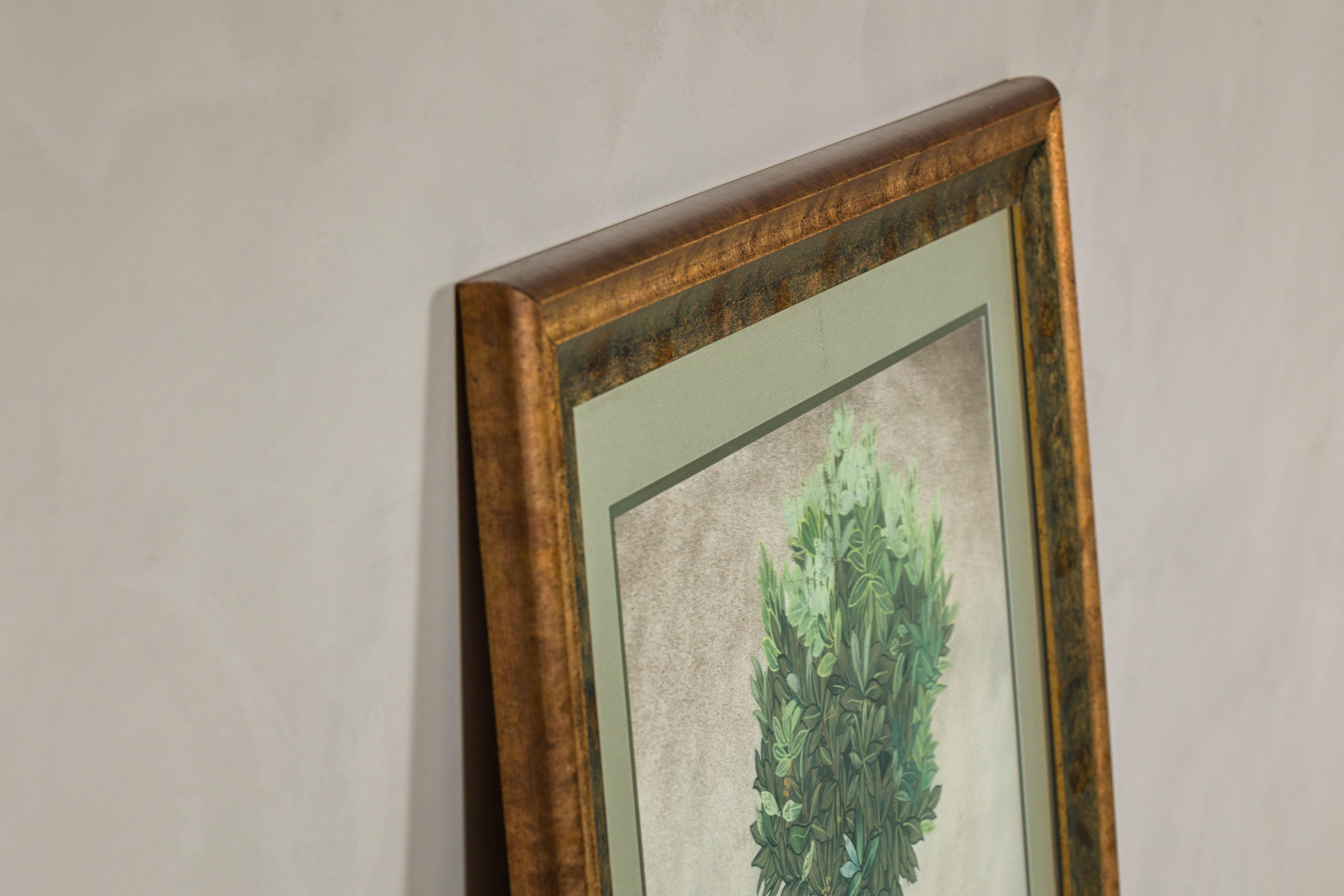 Midcentury Japanese Minimalist Botanical Print in Custom Gold Frame under Glass For Sale 9