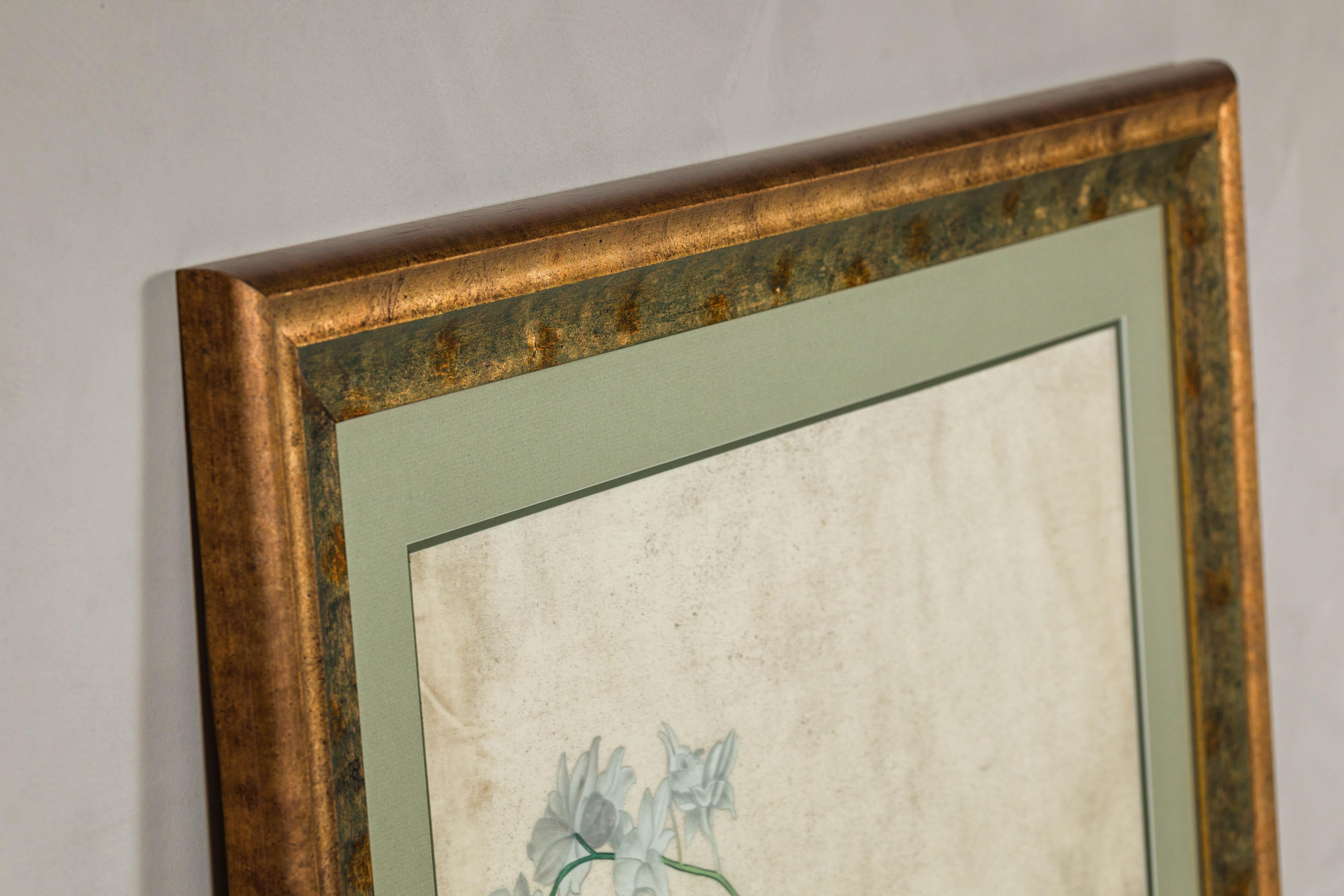 Midcentury Japanese Minimalist Botanical Print in Custom Gold Frame under Glass For Sale 11
