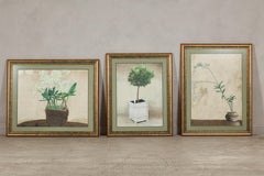 Midcentury Japanese Minimalist Botanical Print in Custom Gold Frame under Glass