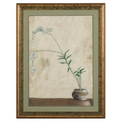 Midcentury Japanese Minimalist Botanical Print in Custom Gold Frame under Glass