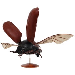 Midcentury Large Early Anatomical Model of a Flying Beetle, Praque, 1950s