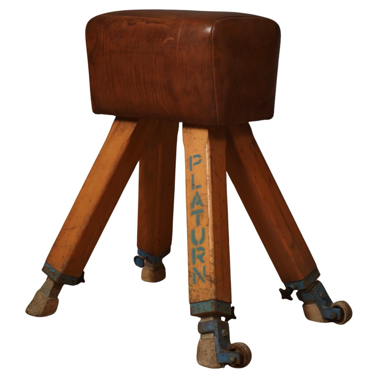 Midcentury Leather and Wood Italian Gymnastics Horse, 1960
