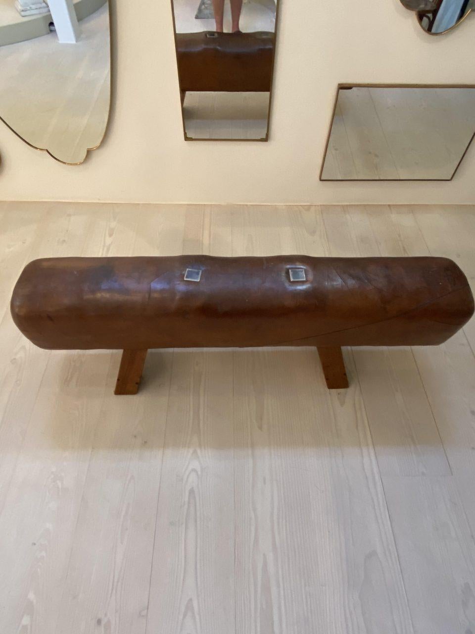 French Midcentury Leather Gym Horse/Bench, France
