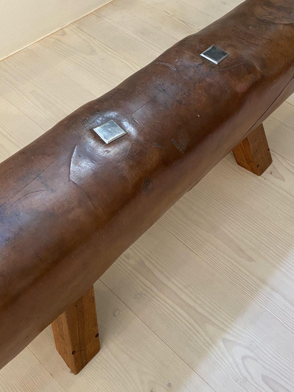 Midcentury Leather Gym Horse/Bench, France 2