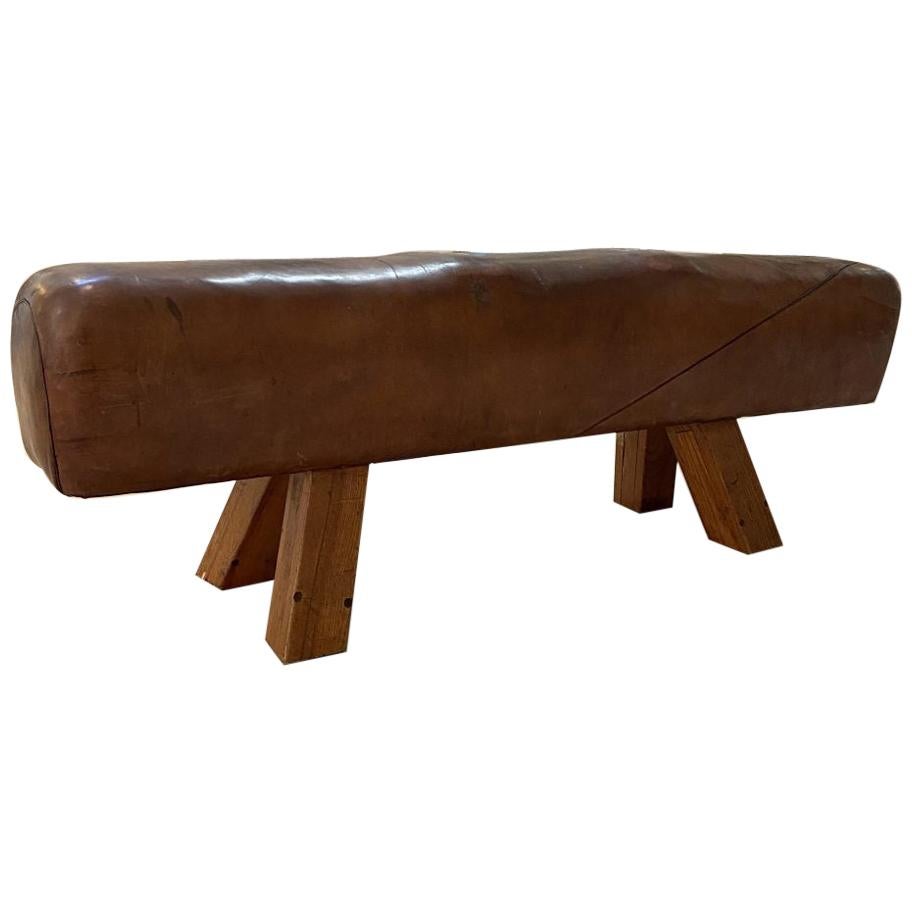 Midcentury Leather Gym Horse/Bench, France