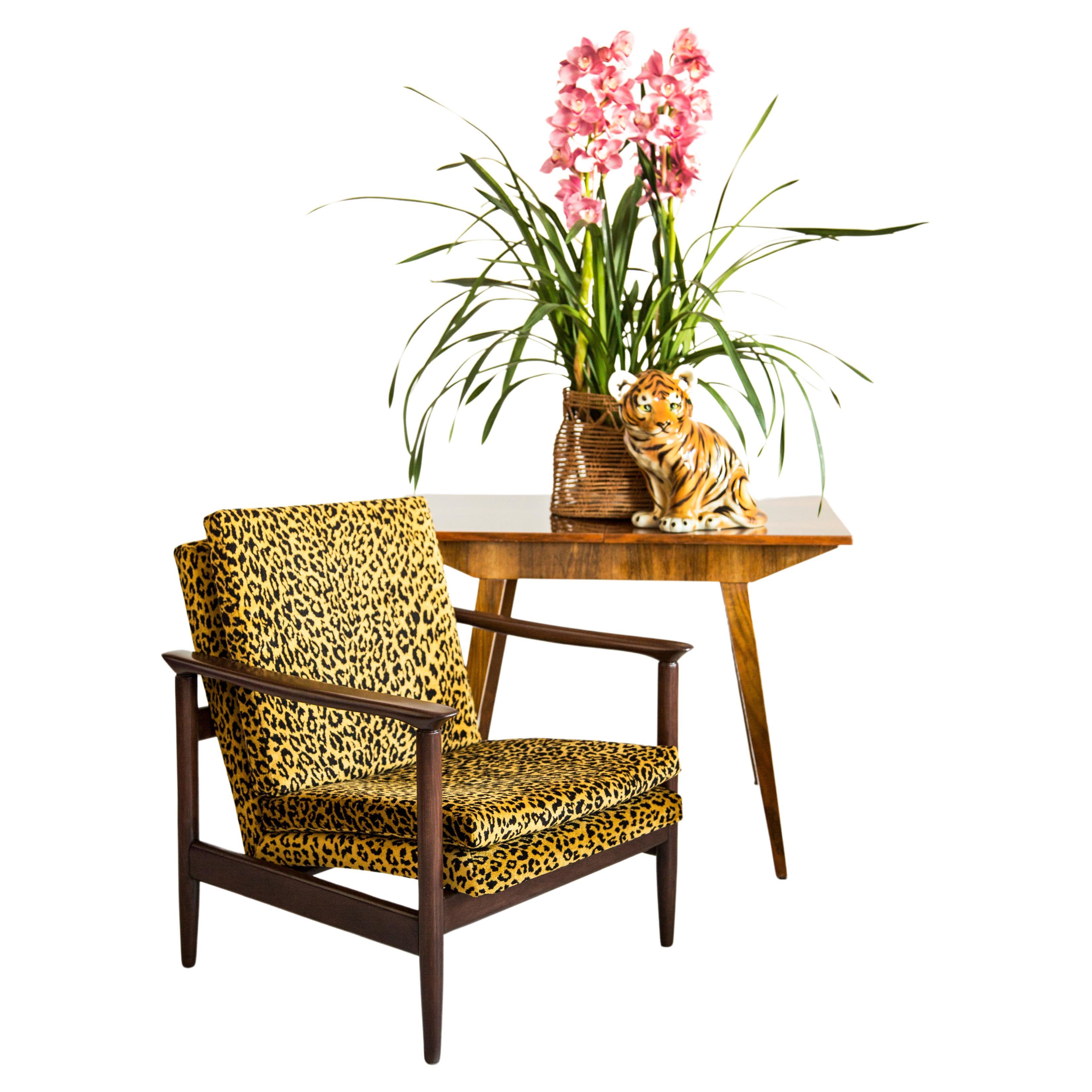 Wunderschöner Leoparden-Sessel GFM-142, entworfen von Edmund Homa, einem polnischen Architekten, Designer für Industriedesign und Innenarchitektur, Professor an der Akademie der Schönen Künste in Danzig. 

Der Sessel wurde in den 1960er Jahren in