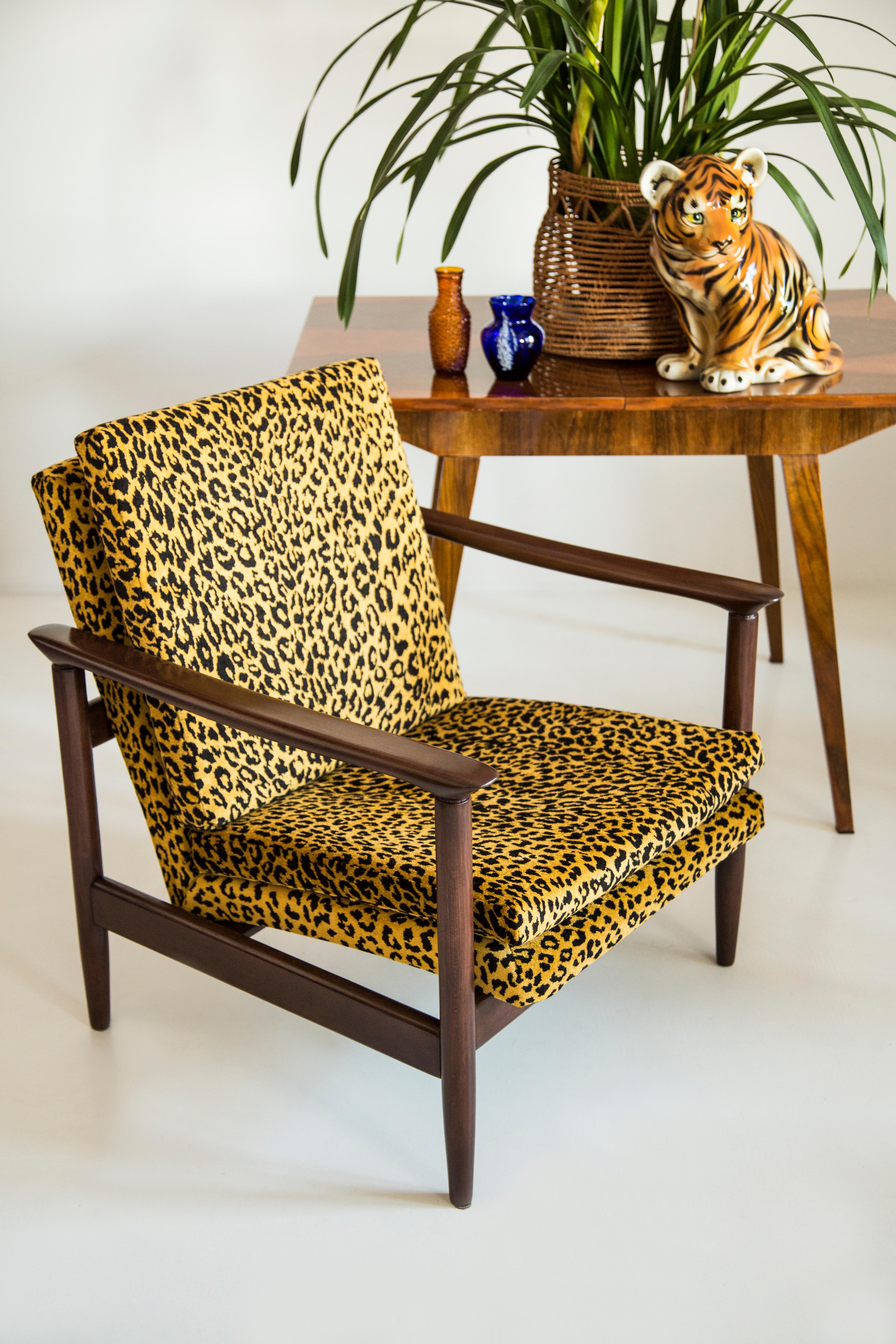 Hand-Crafted Midcentury Leopard Armchair, GFM 142, Edmund Homa, Europe, 1960s For Sale