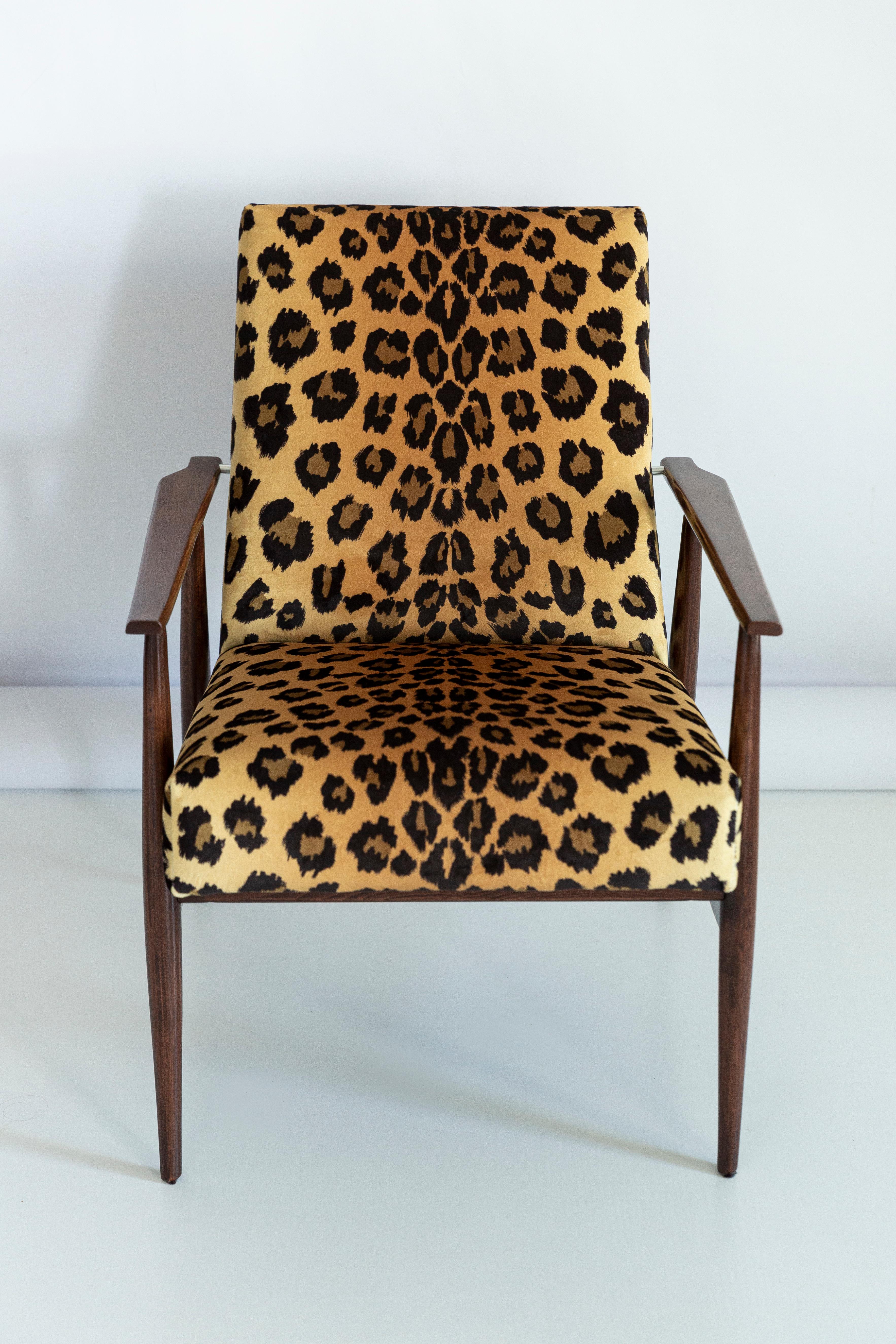 Textile Midcentury Leopard Print Velvet Dante Armchair, H. Lis, 1960s For Sale