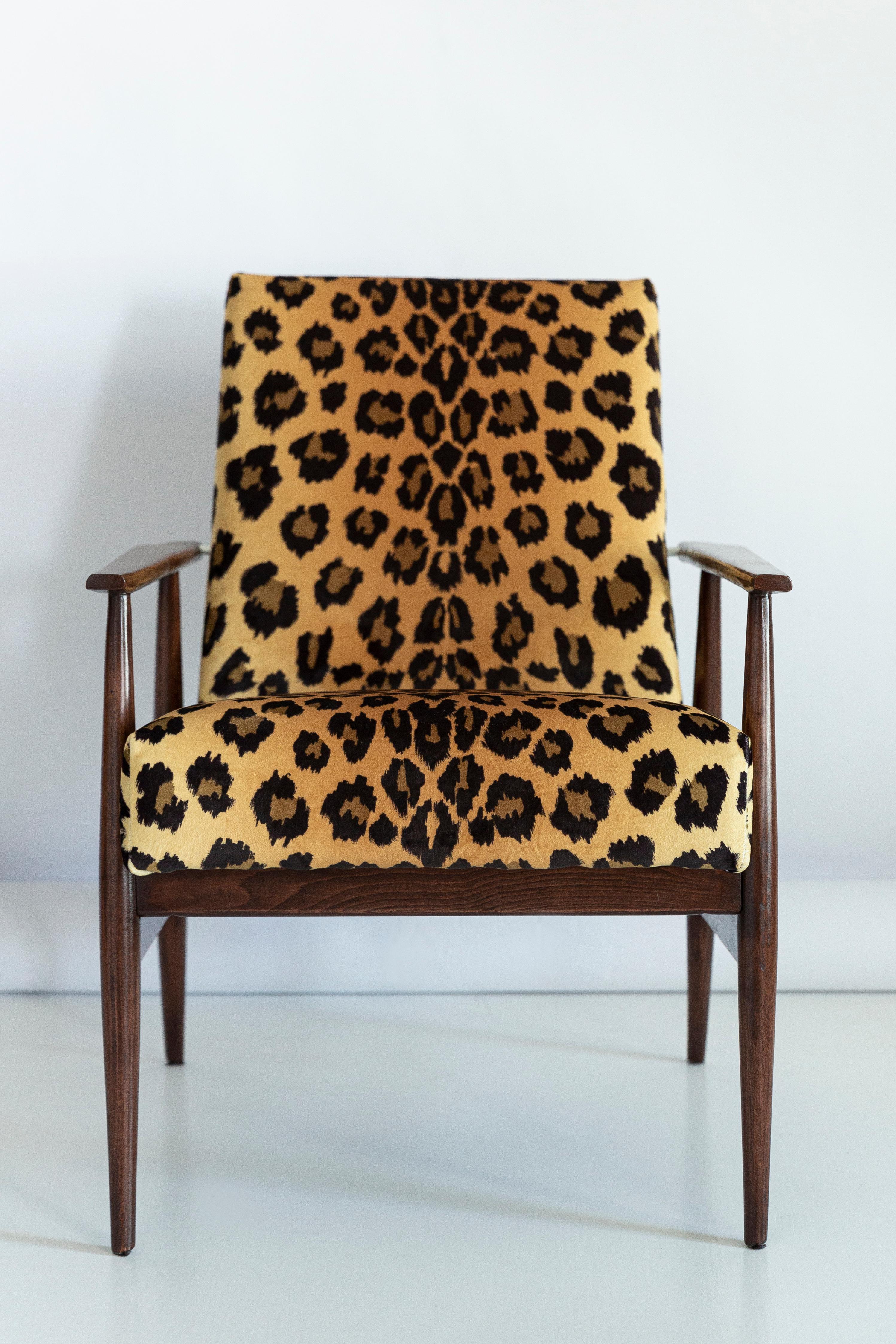 Midcentury Leopard Print Velvet Dante Armchair, H. Lis, 1960s For Sale 1