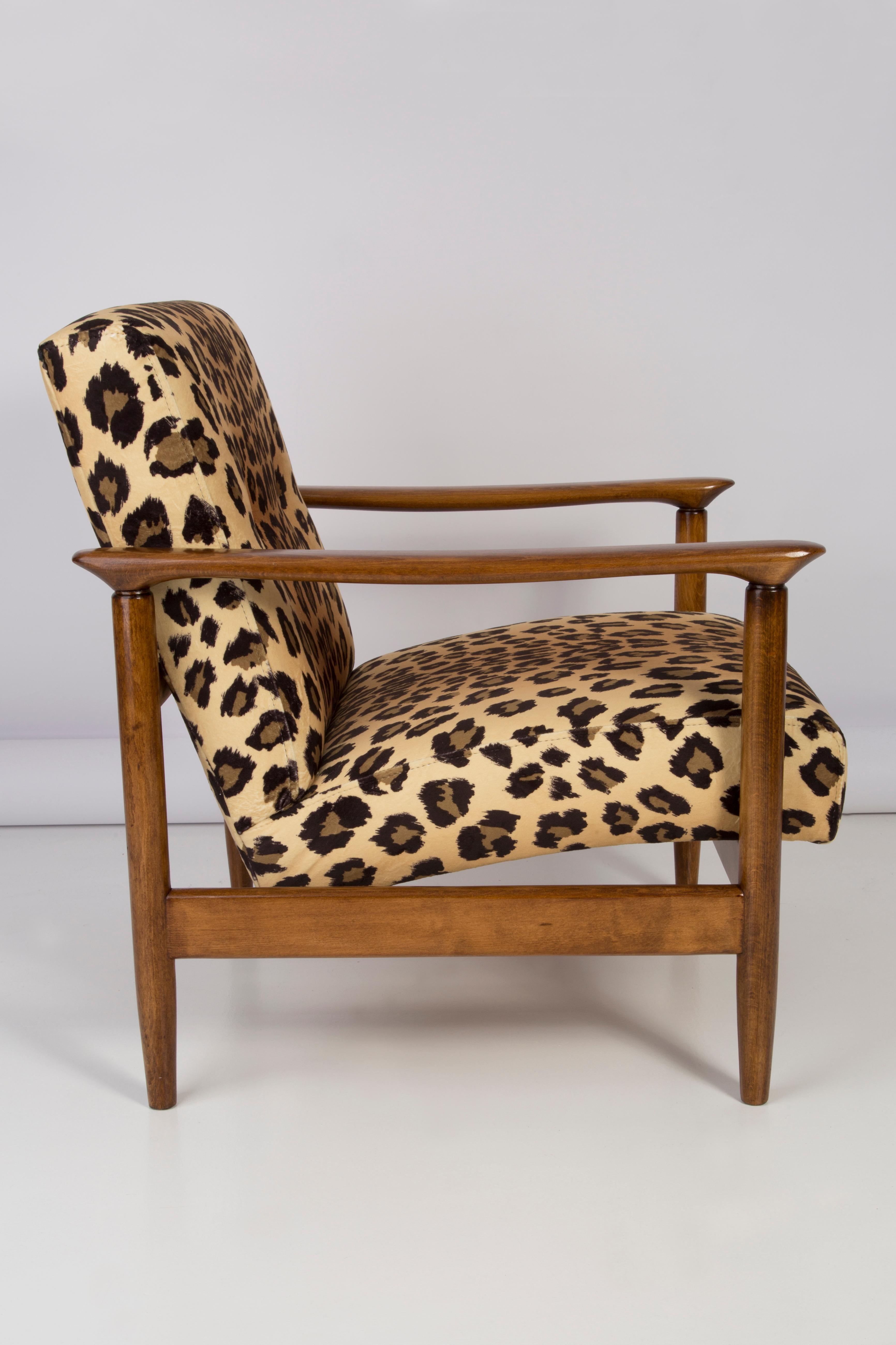 Beautiful leopard armchair GFM-142, designed by Edmund Homa, a polish architect, designer of industrial design and interior architecture, professor at the Academy of Fine Arts in Gdansk.

The armchair was made in the 1960s in the Gosciecinska