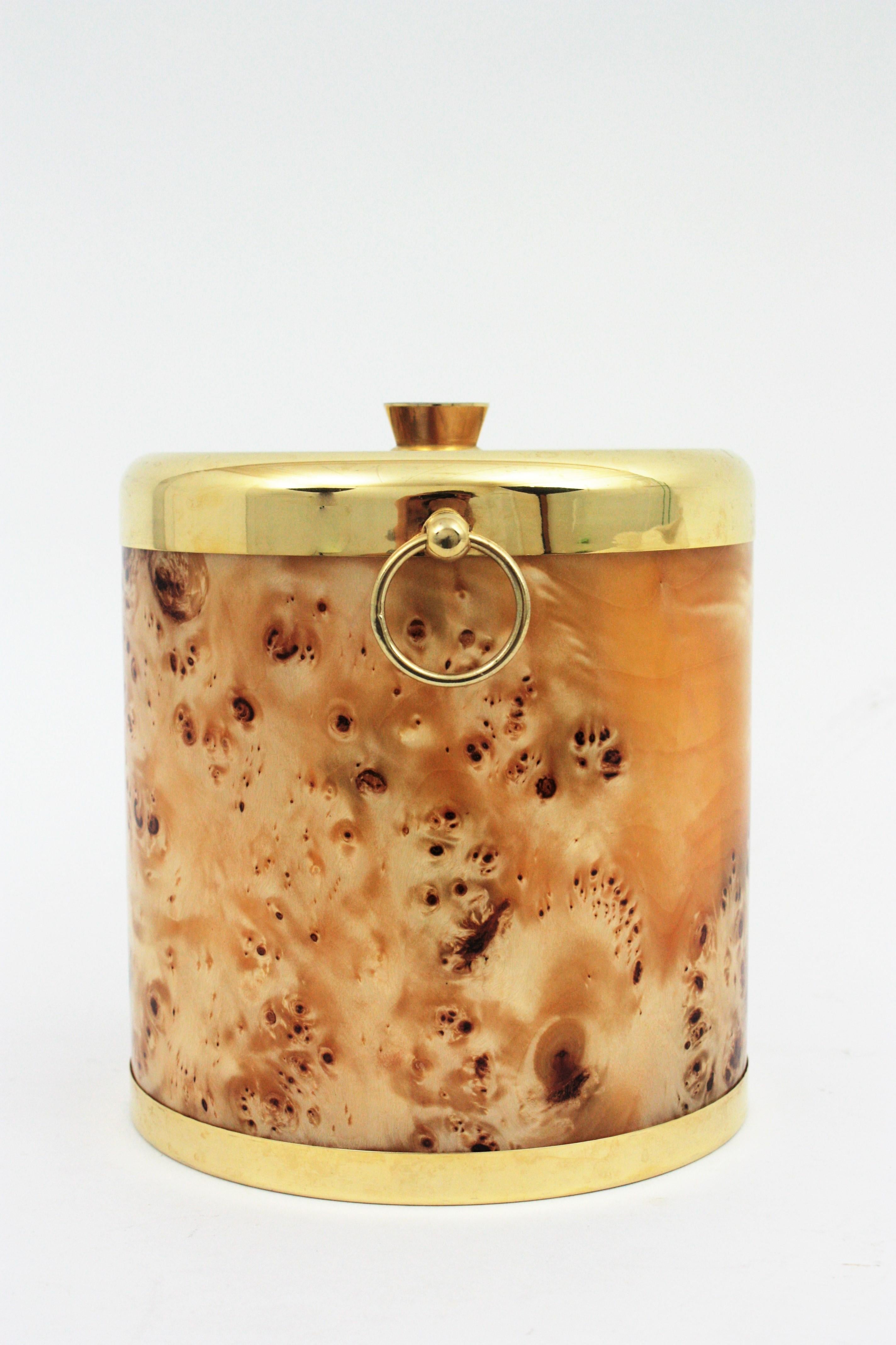Midcentury Lucite Burl Wood and Brass Italian Ice Bucket, 1960s For Sale 5
