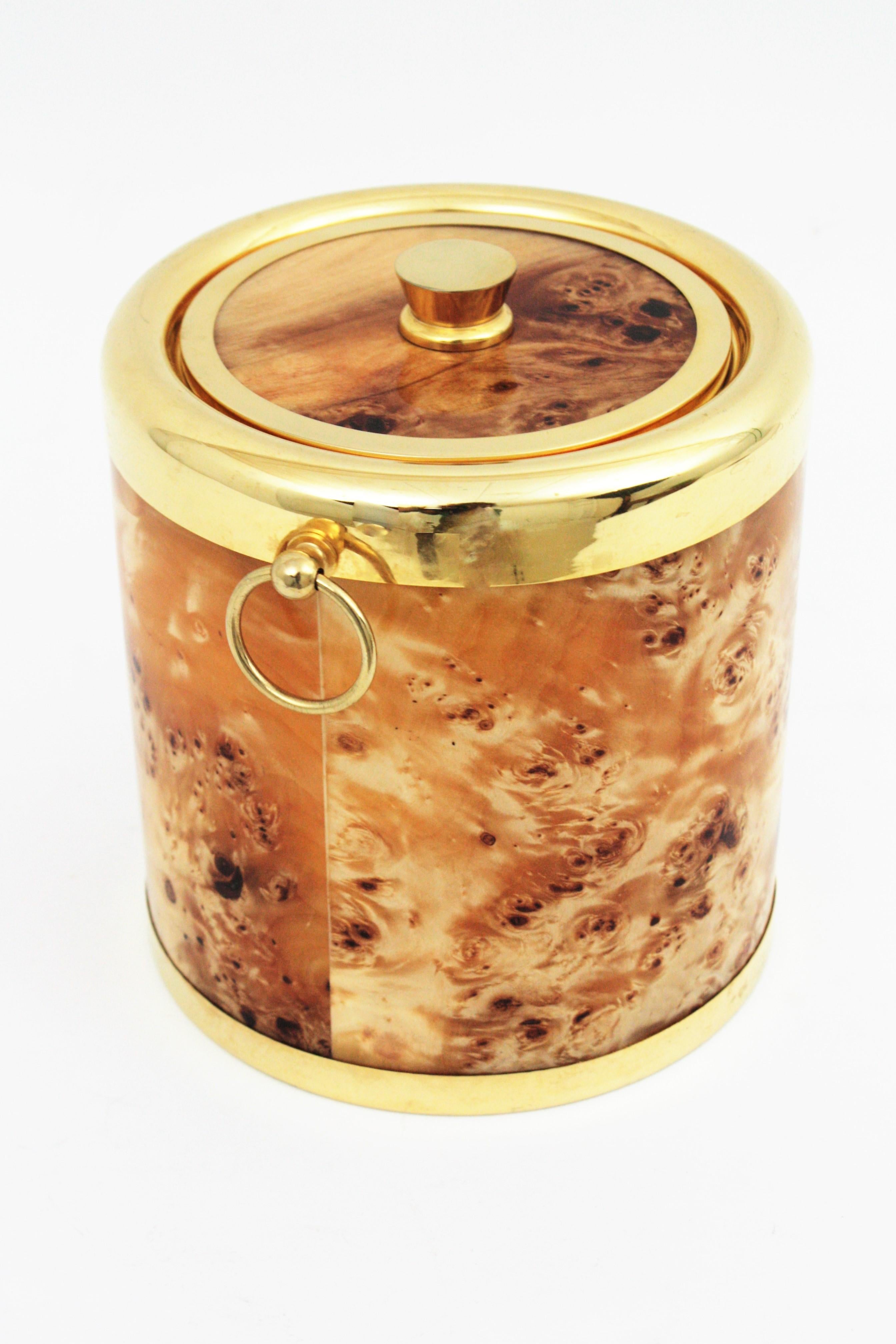 Midcentury Lucite Burl Wood and Brass Italian Ice Bucket, 1960s For Sale 8