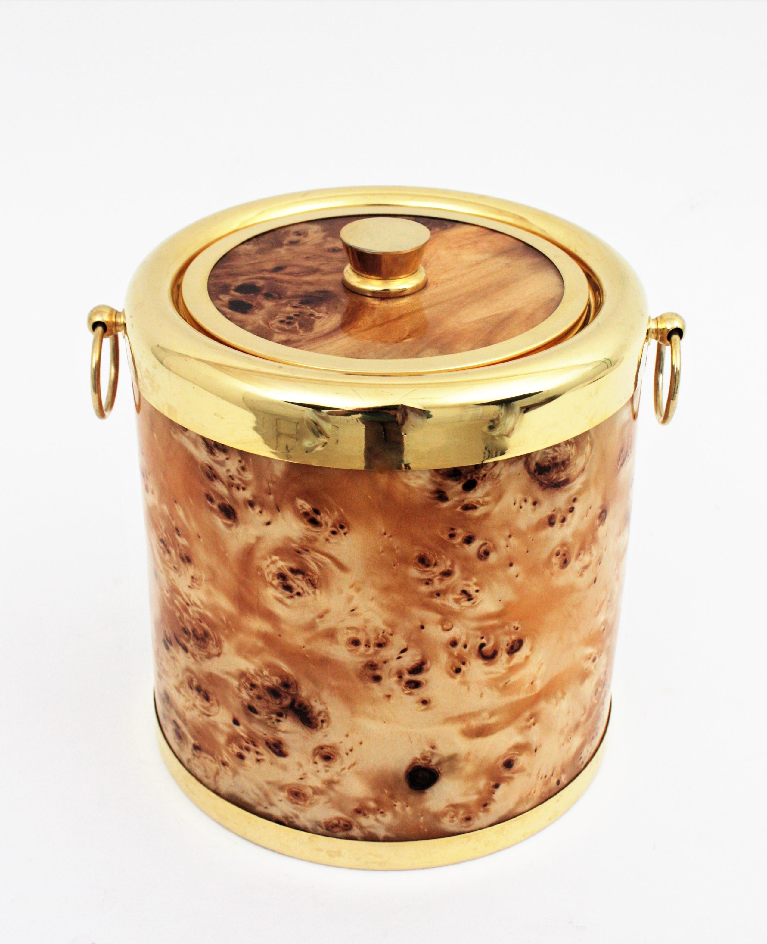 20th Century Midcentury Lucite Burl Wood and Brass Italian Ice Bucket, 1960s For Sale