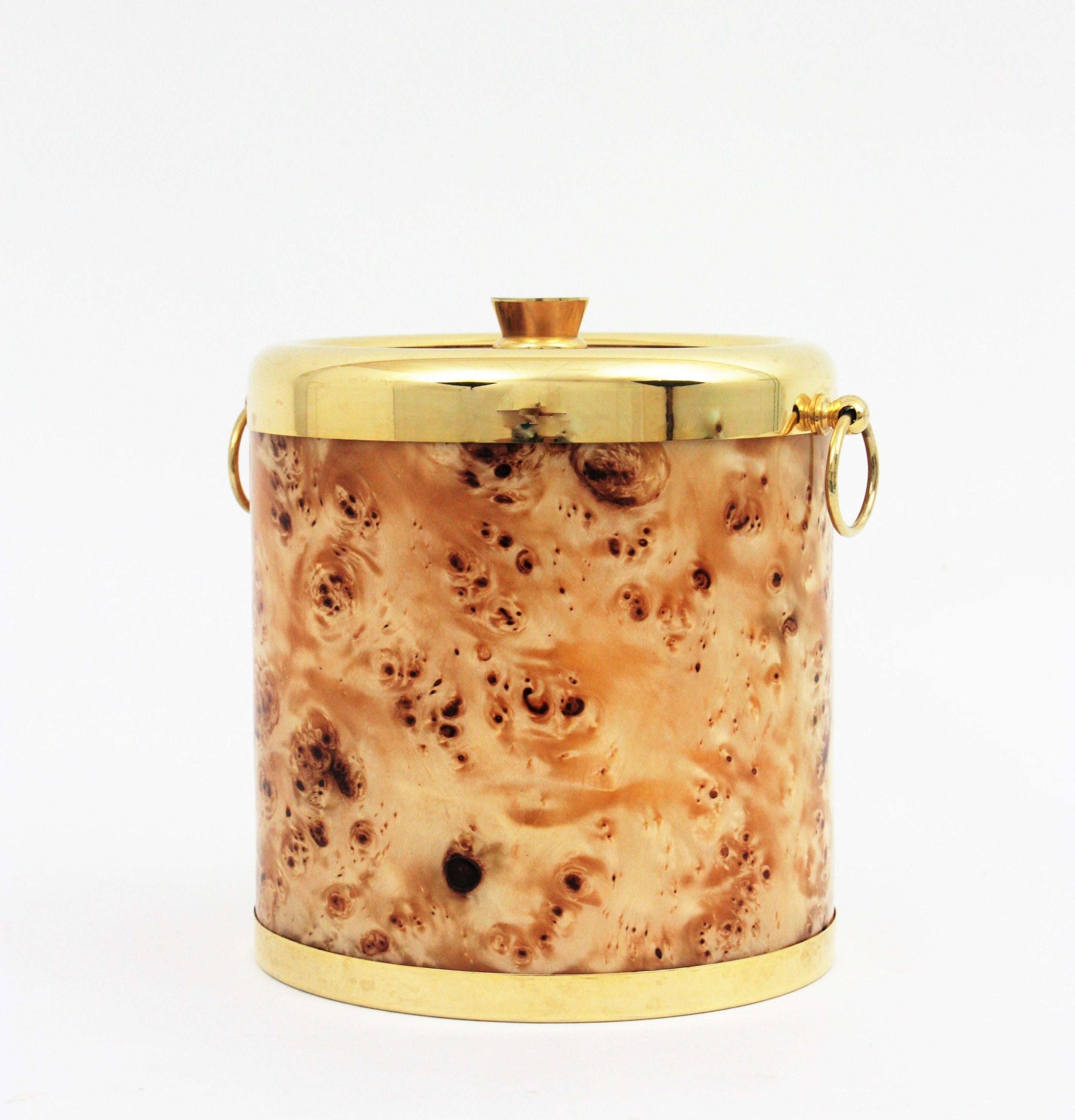 Midcentury Lucite Burl Wood and Brass Italian Ice Bucket, 1960s For Sale 2