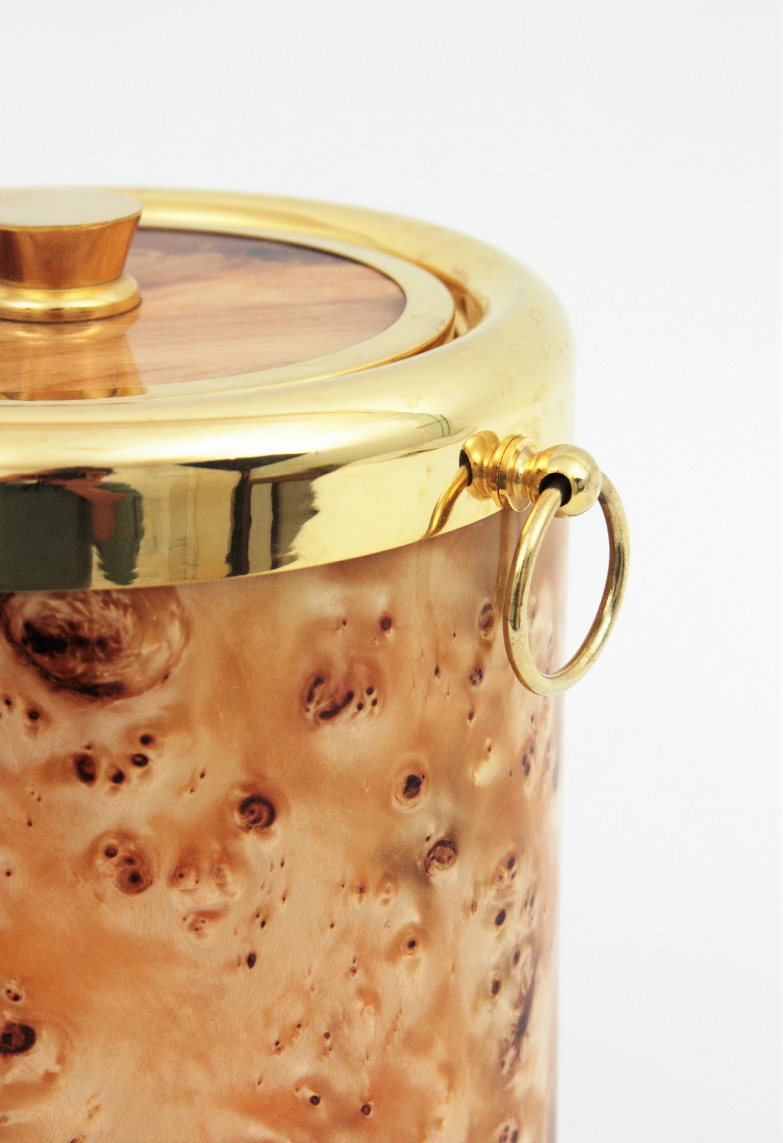 Midcentury Lucite Burl Wood and Brass Italian Ice Bucket, 1960s For Sale 3