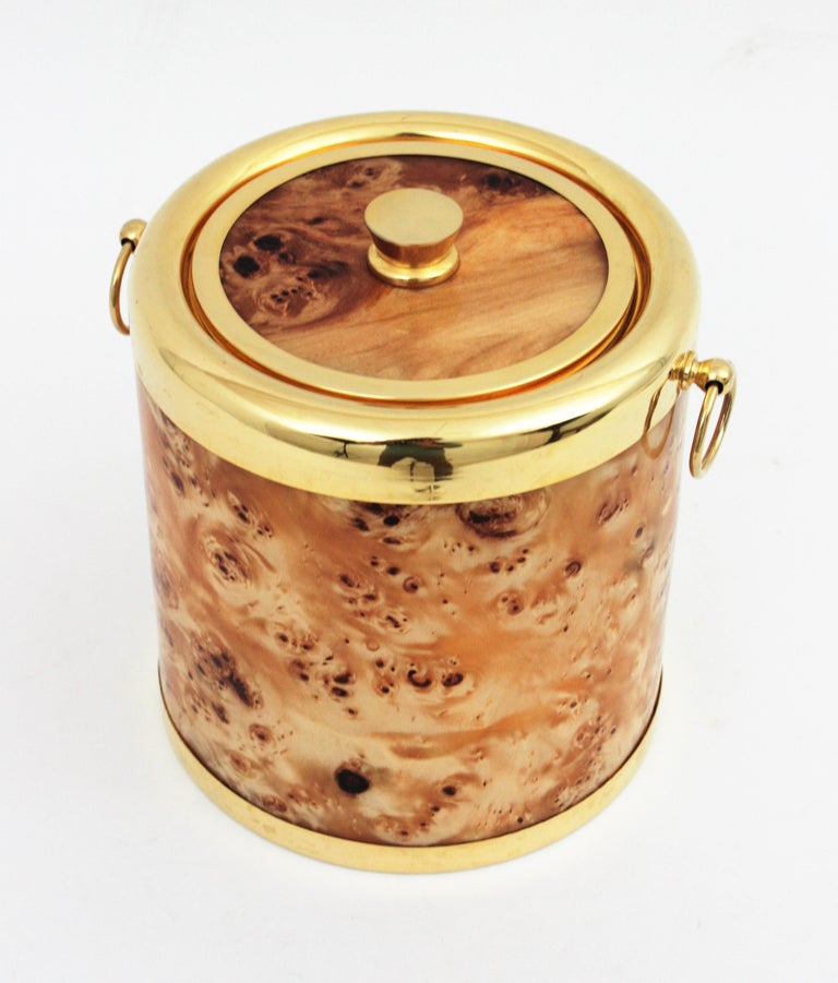 Midcentury Lucite Burl Wood and Brass Italian Ice Bucket, 1960s For